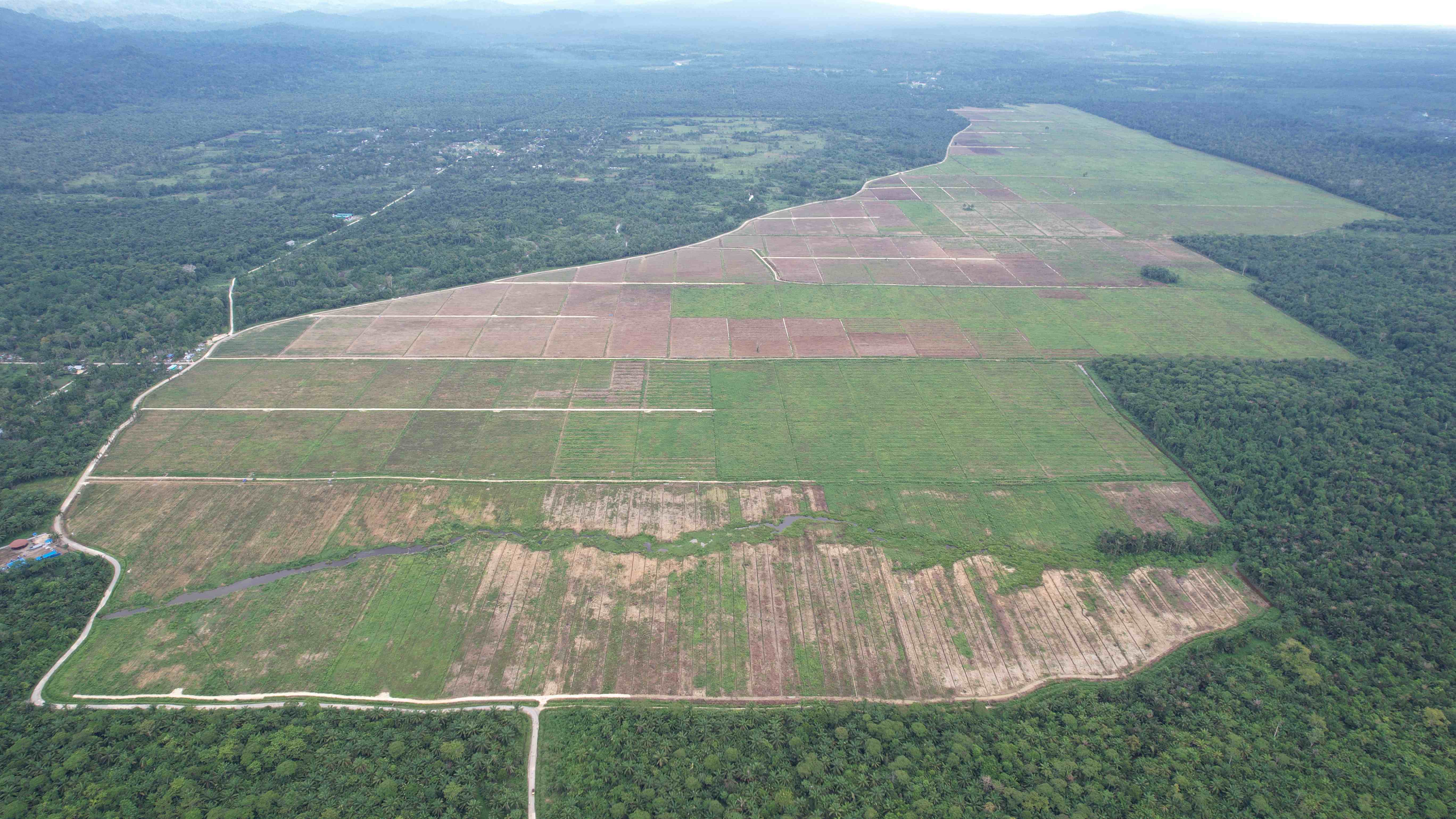 Pekerjaan Land Clearing Untuk Budidaya Jagung Kabupaten Keerom